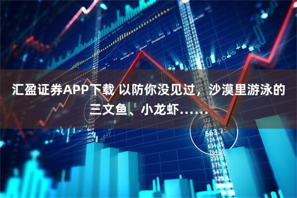 汇盈证券APP下载 以防你没见过，沙漠里游泳的三文鱼、小龙虾……