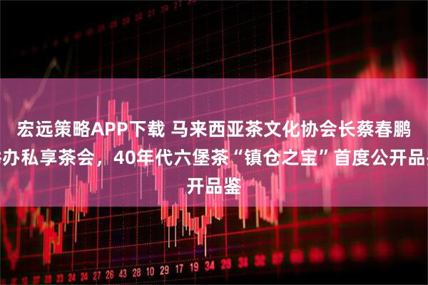 宏远策略APP下载 马来西亚茶文化协会长蔡春鹏举办私享茶会，40年代六堡茶“镇仓之宝”首度公开品鉴