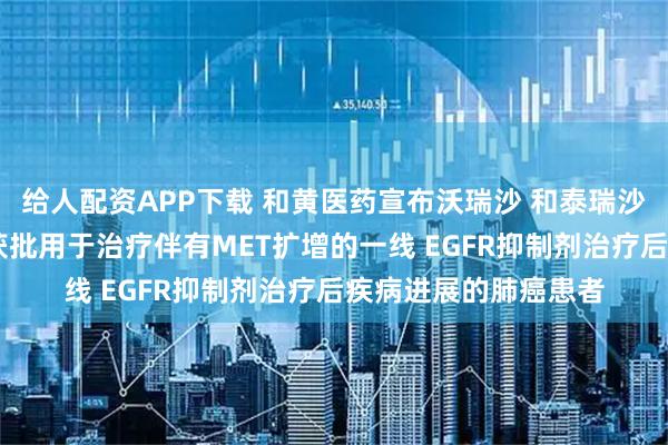 给人配资APP下载 和黄医药宣布沃瑞沙 和泰瑞沙 的联合疗法于中国获批用于治疗伴有MET扩增的一线 EGFR抑制剂治疗后疾病进展的肺癌患者