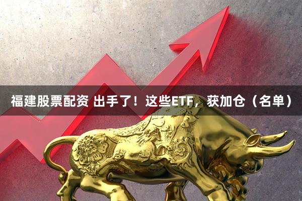 福建股票配资 出手了！这些ETF，获加仓（名单）