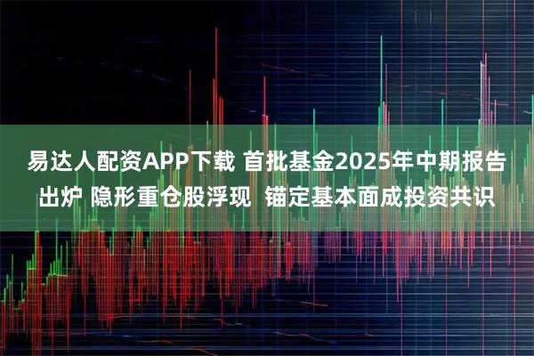 易达人配资APP下载 首批基金2025年中期报告出炉 隐形重仓股浮现  锚定基本面成投资共识