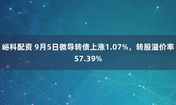 峪科配资 9月5日微导转债上涨1.07%，转股溢价率57.39%